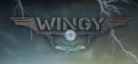 Требования Wingy