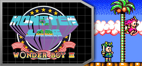 Wonder Boy III: Monster Lair系统需求