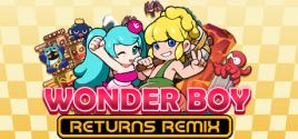 Prix pour Wonder Boy Returns Remix