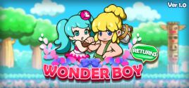 Wonder Boy Returns Sistem Gereksinimleri