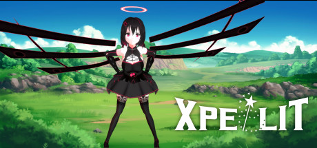 XPELLIT Systemanforderungen