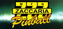 Zaccaria Pinball 시스템 조건