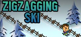 ZigZagging Ski価格 