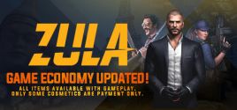 Zula Global System Requirements